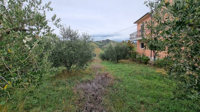 Terreno Agricolo in vendita a Monteprandone