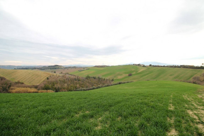 Rustico in vendita a Monteprandone
