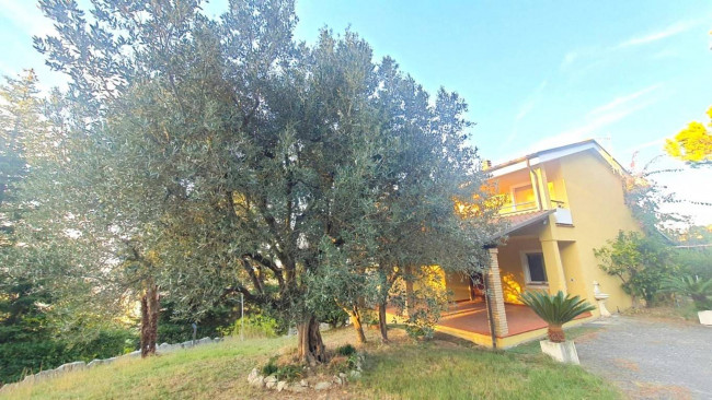 Villa in vendita a Colonnella