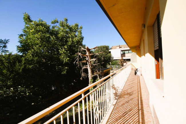 Casa Cielo Terra in vendita a Offida