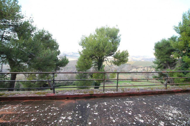 Palazzo Storico in vendita a Offida