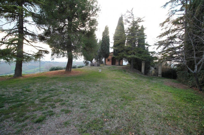 Palazzo Storico in vendita a Offida