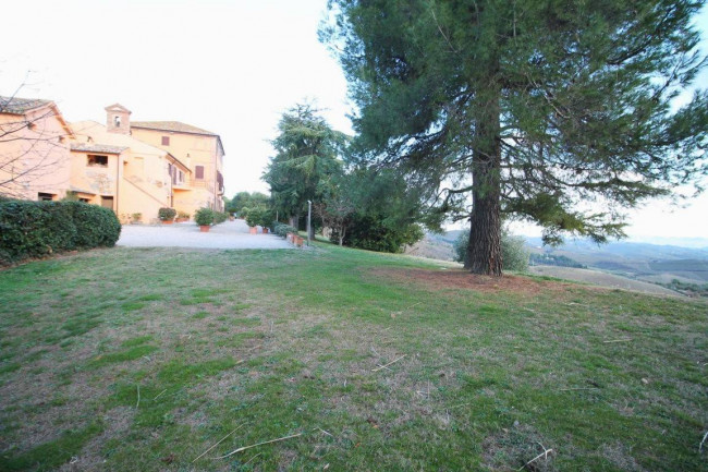 Palazzo Storico in vendita a Offida