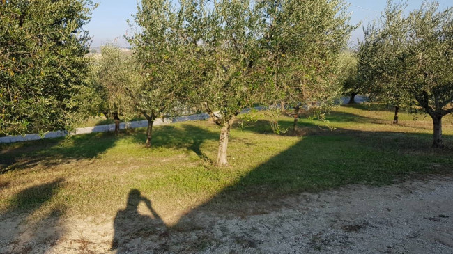 Rustico/Casale in vendita a Monsampolo del Tronto