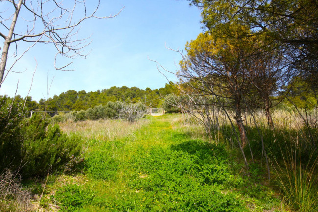 Rustico/Casale in vendita a Monteprandone