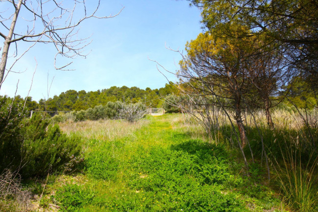 Rustico/Casale in vendita a Monteprandone