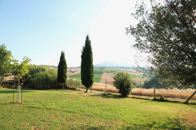 Rustico/Casale in vendita a Castignano