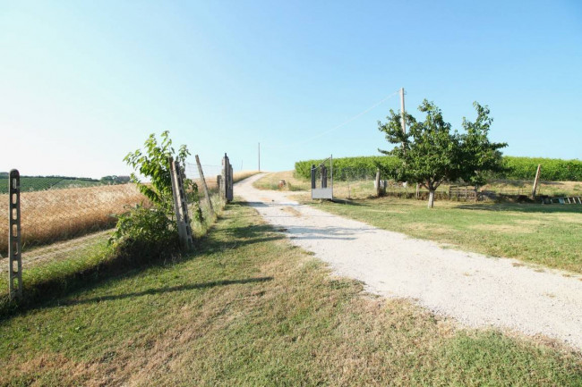 Rustico/Casale in vendita a Castignano