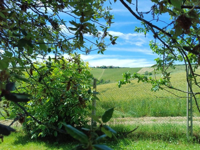 Rustico/Casale in vendita a Castignano
