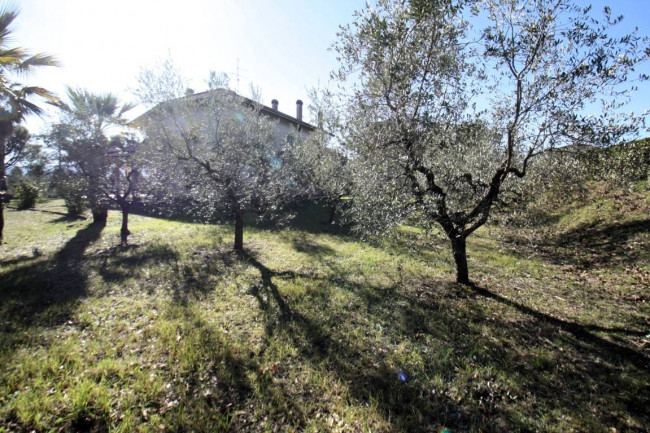 Villa in vendita a Monteprandone