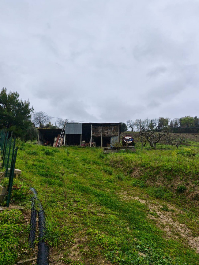 Appartamento in vendita a Offida