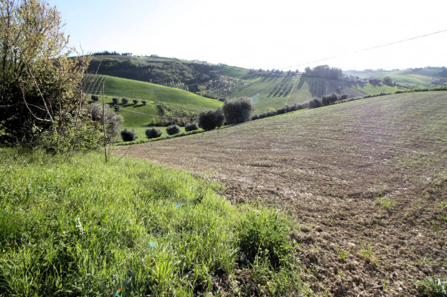 Rustico in vendita a Offida