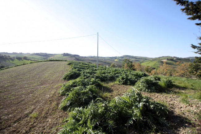 Rustico in vendita a Offida