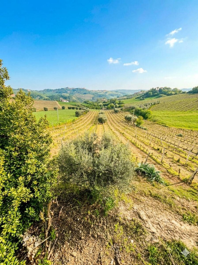 Casa singola in vendita a Offida