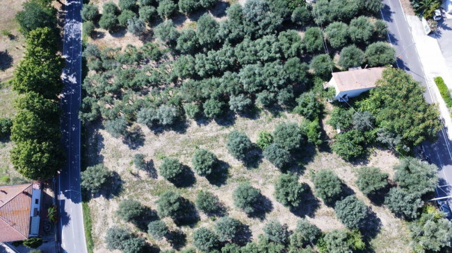 Casa indipendente in vendita a Corropoli