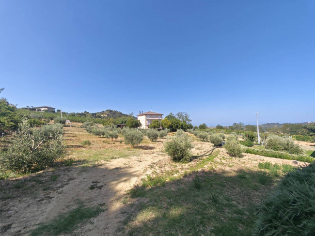 Casa indipendente in vendita a Ripatransone