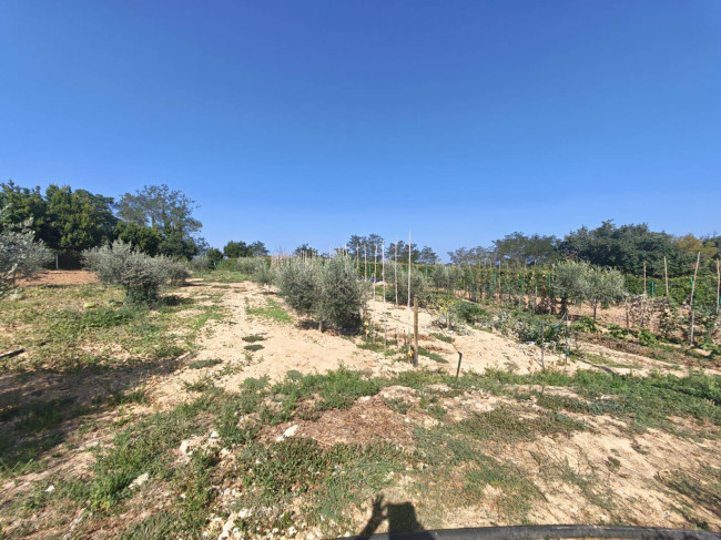 Casa indipendente in vendita a Ripatransone