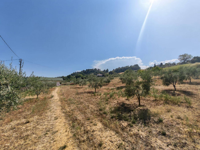 Casa indipendente in vendita a Ripatransone