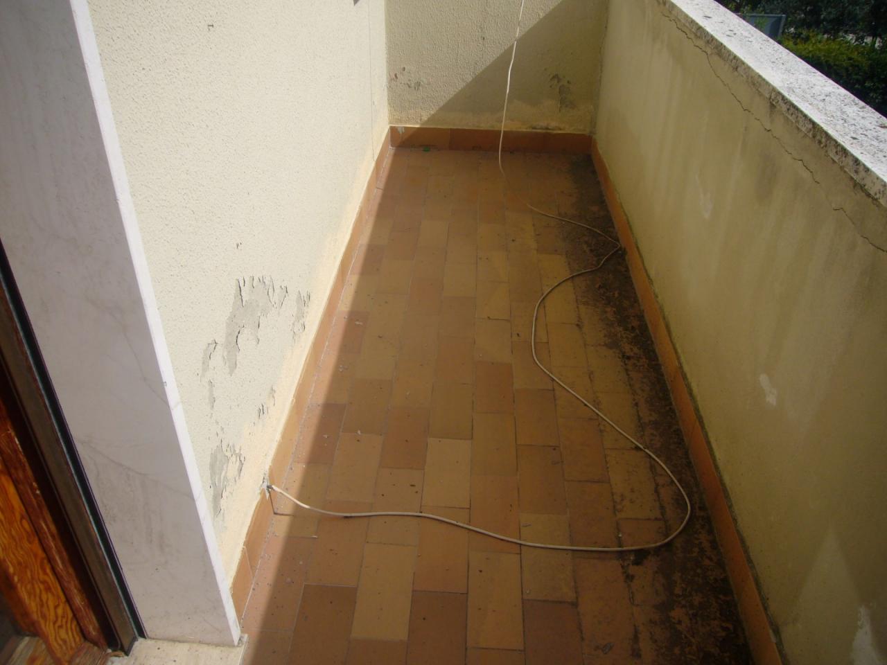 Appartamento in affitto a Pisa (PI)