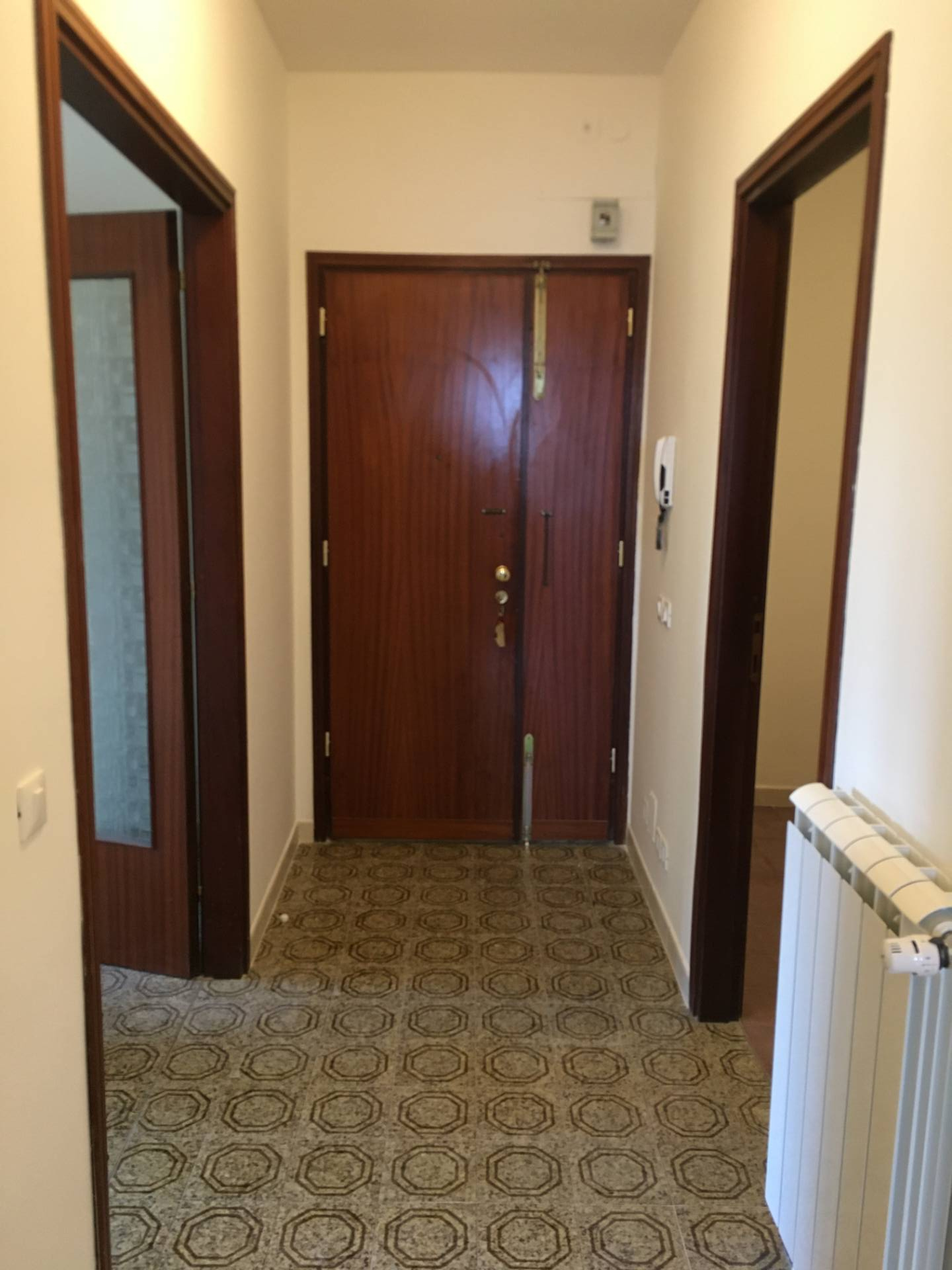 Appartamento in affitto a Pisa