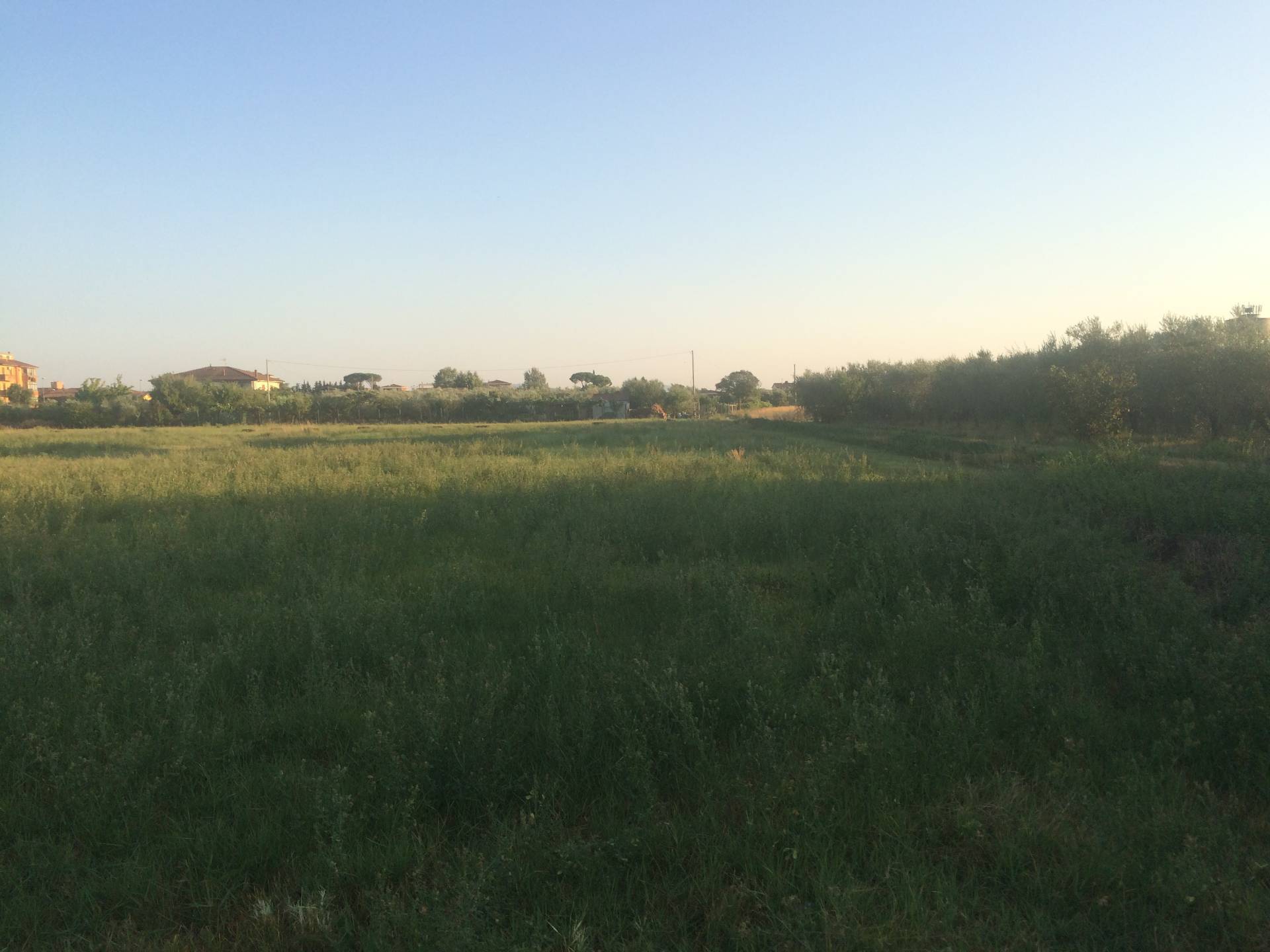 Terreno agricolo in vendita a Cascina (PI)