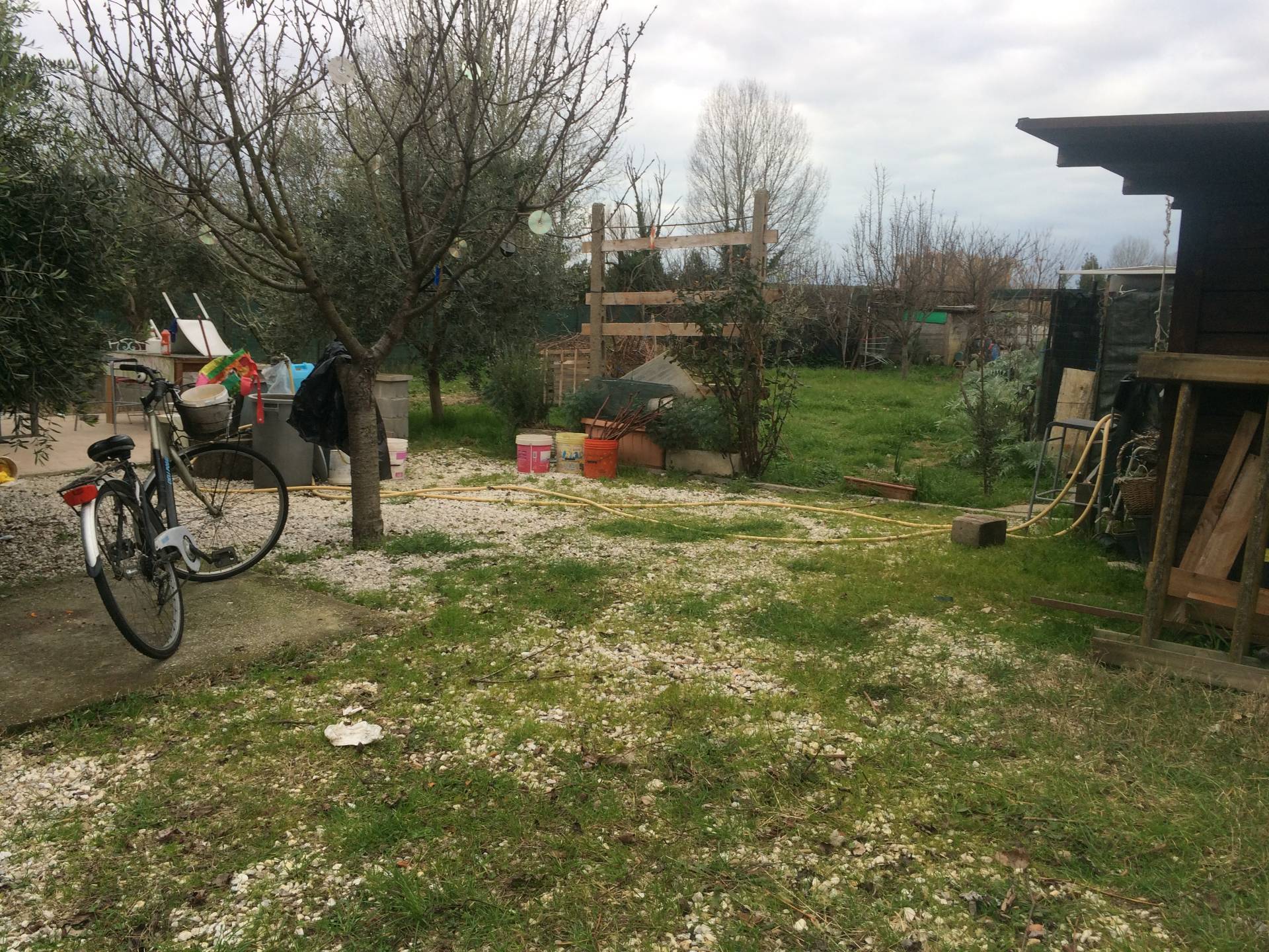 Terreno agricolo in vendita a Pisa