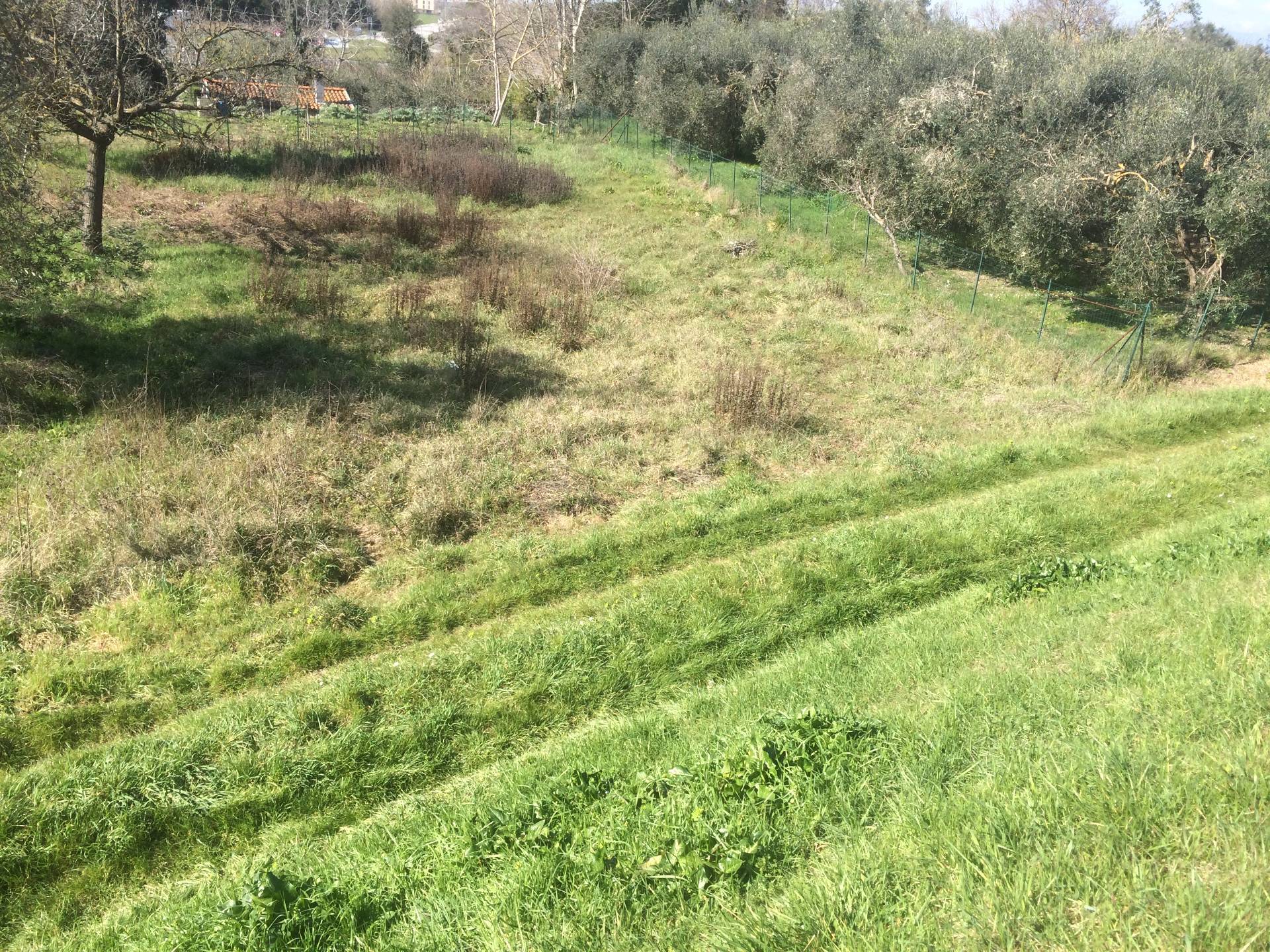 agricolo in golena a San Giuliano Terme