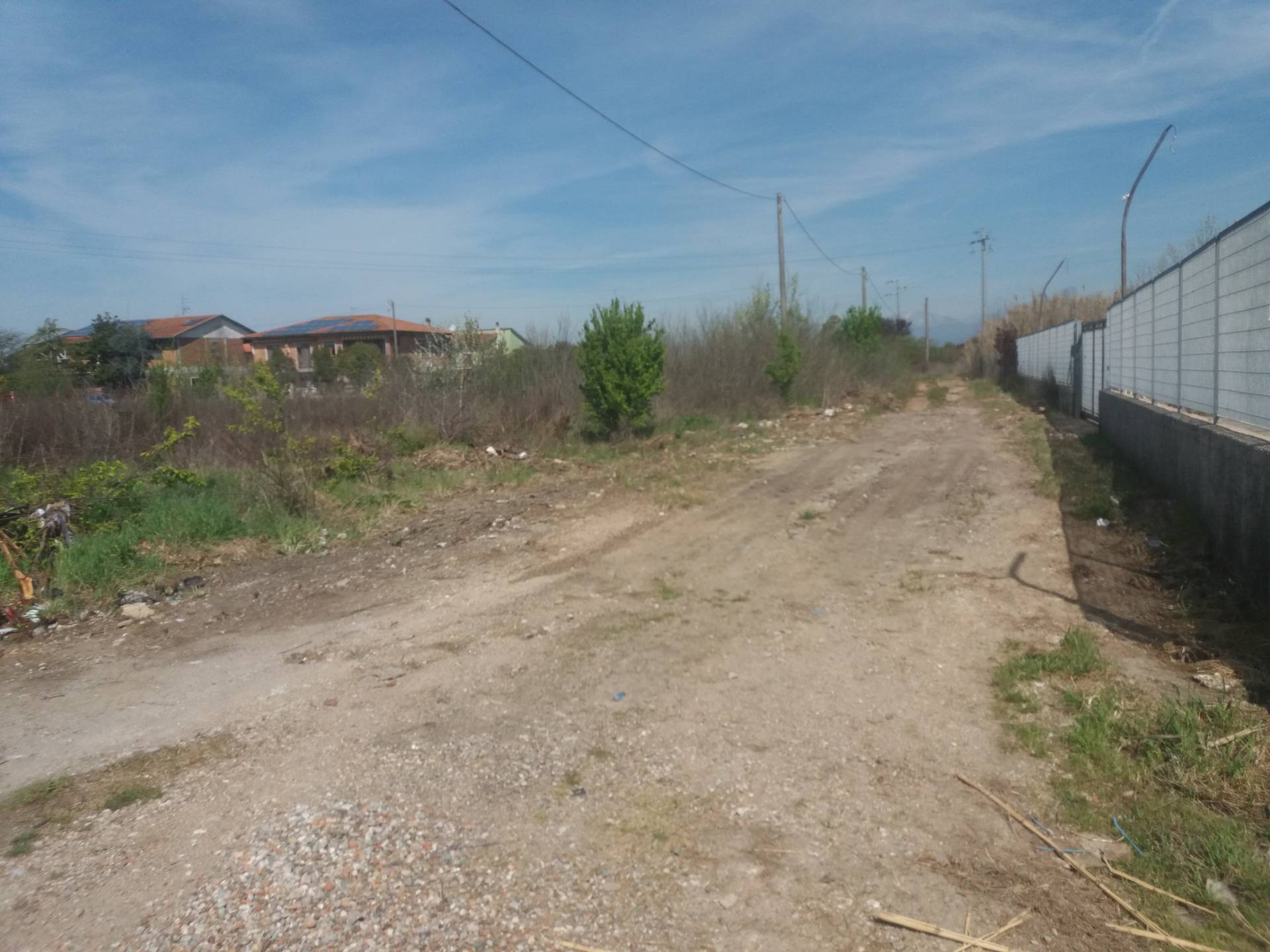 Terreno agricolo in affitto a San Giuliano Terme (PI)