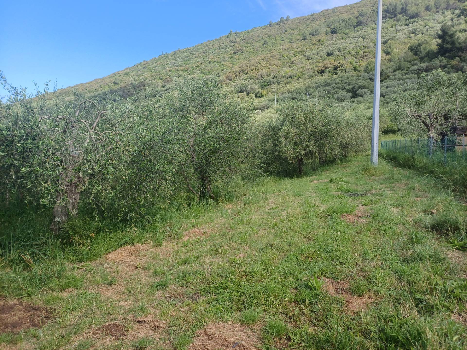 Terreno agricolo in vendita a San Giuliano Terme (PI)