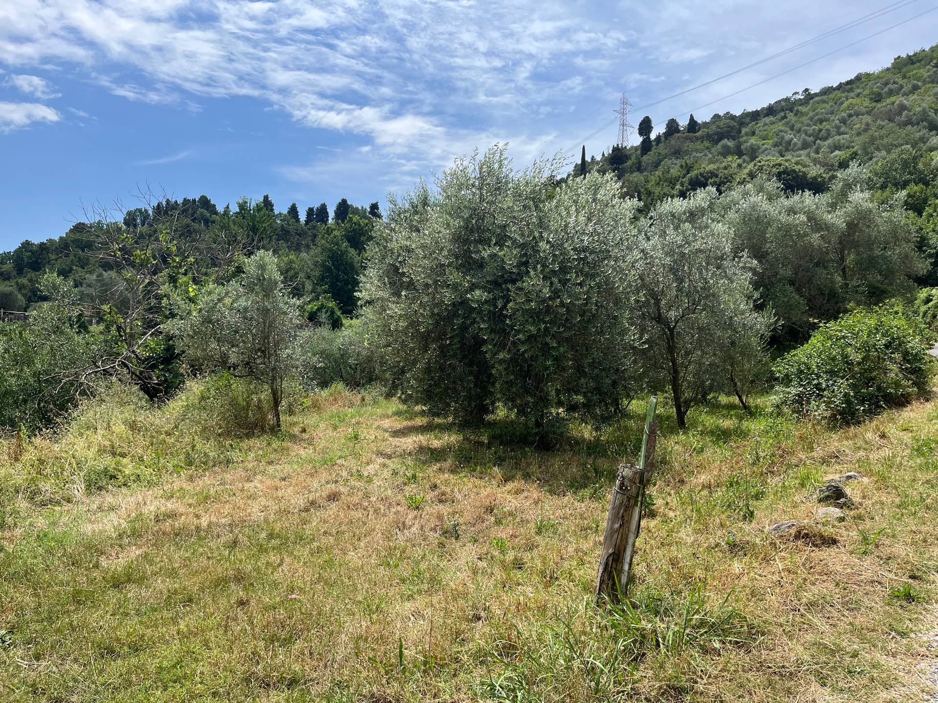 Terreno agricolo in vendita a Lucca