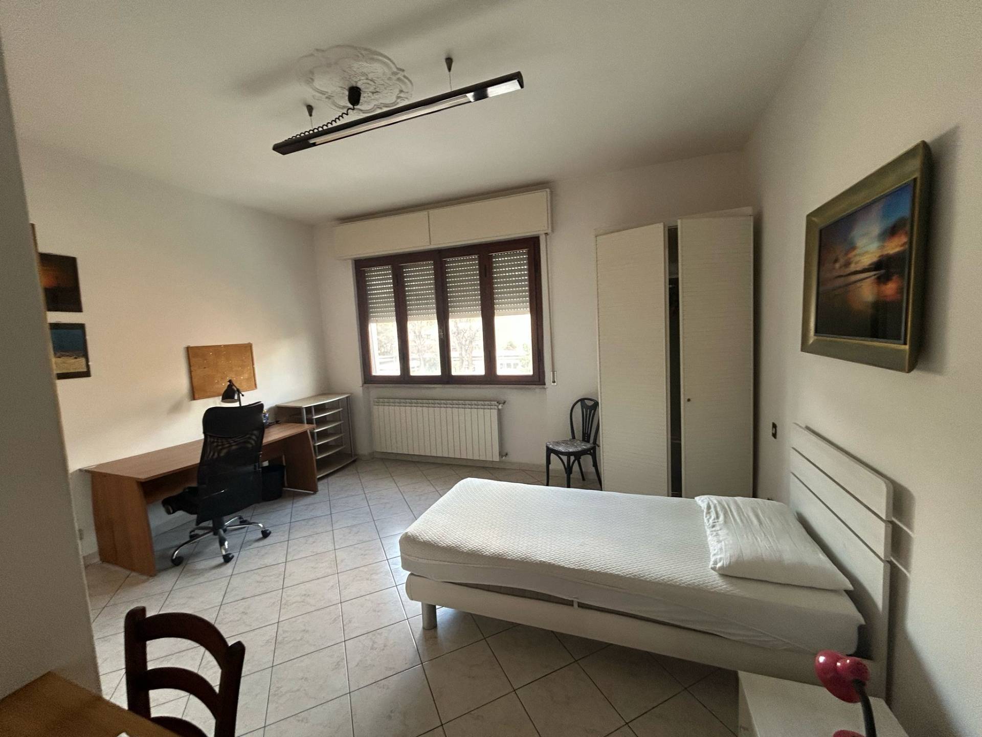 Stanza/Posto Letto in affitto a Pisa