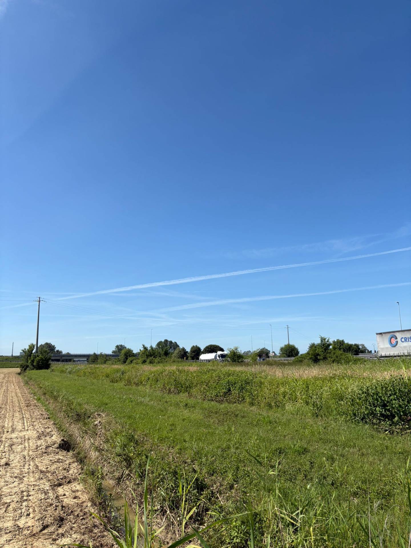 Terreno agricolo in vendita a Pisa