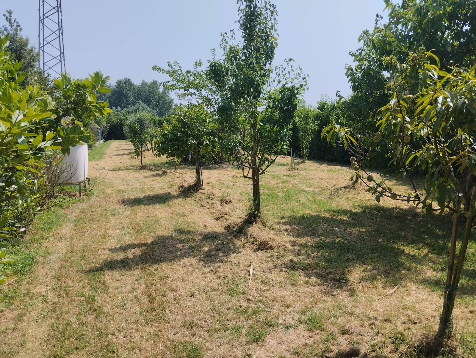 Terreno agricolo in vendita a Pisa