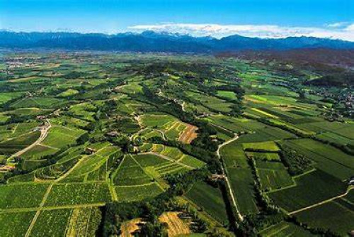 Azienda Agricola in vendita a Corno di Rosazzo