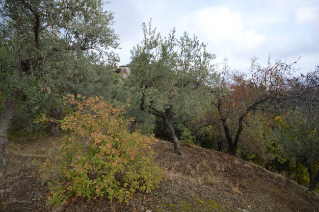 Terreno agricolo in vendita a Corigliano-Rossano