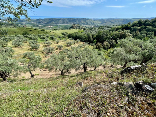 Terreno agricolo in vendita a Paludi