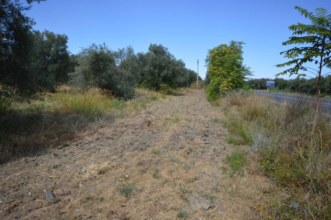 Terreno edificabile in vendita a Pietrapaola