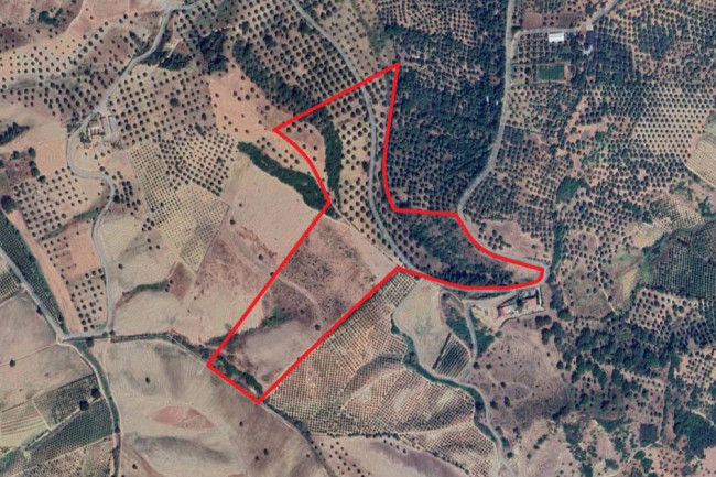 Terreno agricolo in vendita a Corigliano-Rossano