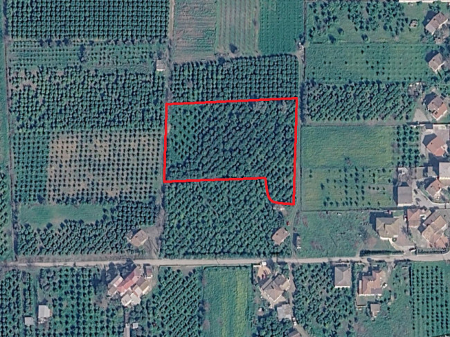 Terreno agricolo in vendita a Corigliano-Rossano