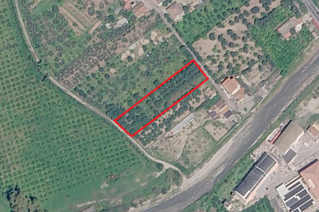 Terreno agricolo in vendita a Crosia