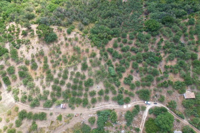 Terreno agricolo in vendita a Altofonte (PA)