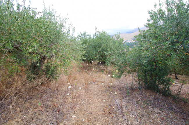 Terreno agricolo in vendita a Altofonte (PA)