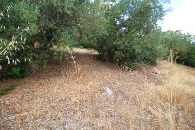 Terreno agricolo in vendita a Altofonte (PA)