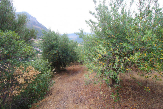 Terreno agricolo in vendita a Altofonte (PA)