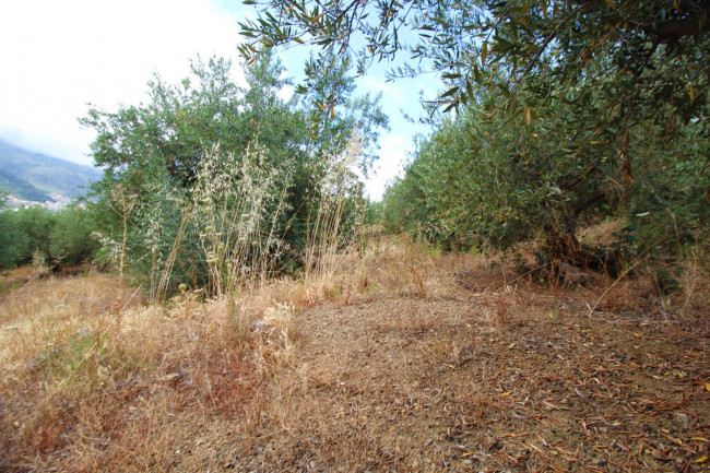 Terreno agricolo in vendita a Altofonte (PA)