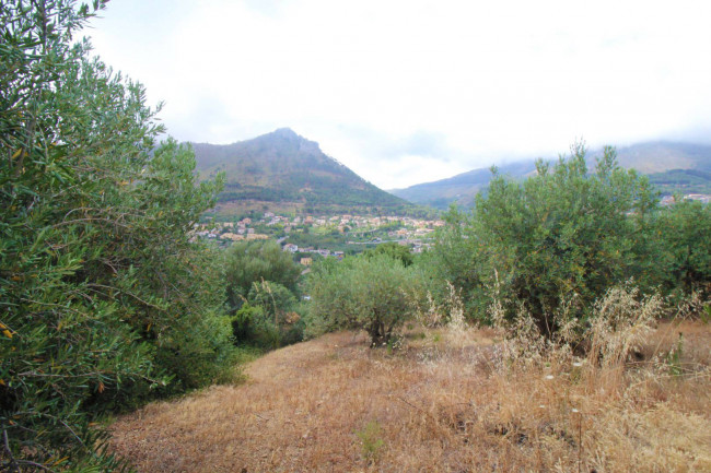 Terreno agricolo in vendita a Altofonte (PA)