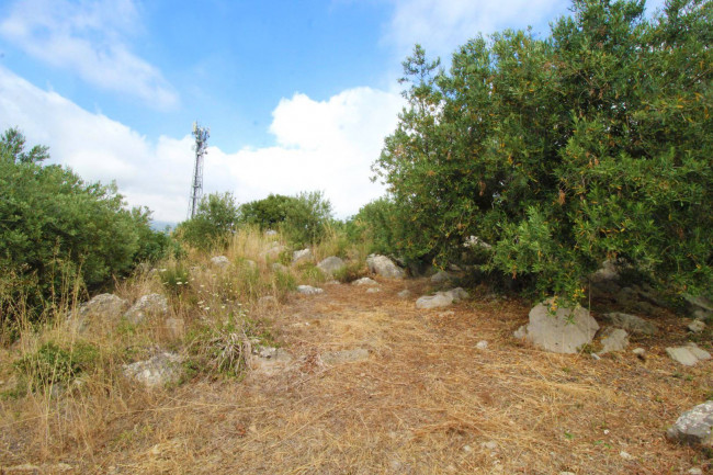 Terreno agricolo in vendita a Altofonte (PA)