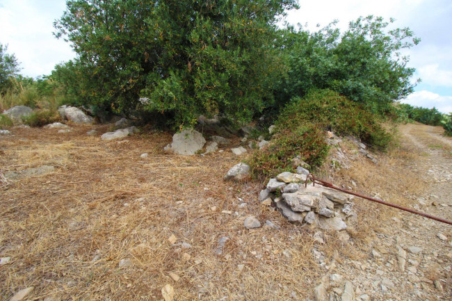 Terreno agricolo in vendita a Altofonte (PA)