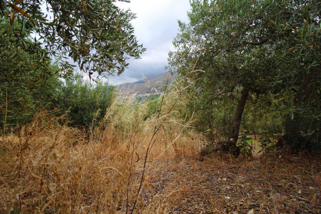 Terreno agricolo in vendita a Altofonte (PA)