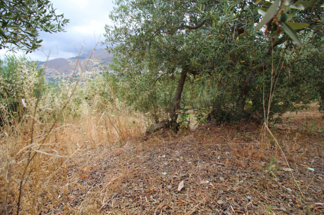 Terreno agricolo in vendita a Altofonte (PA)